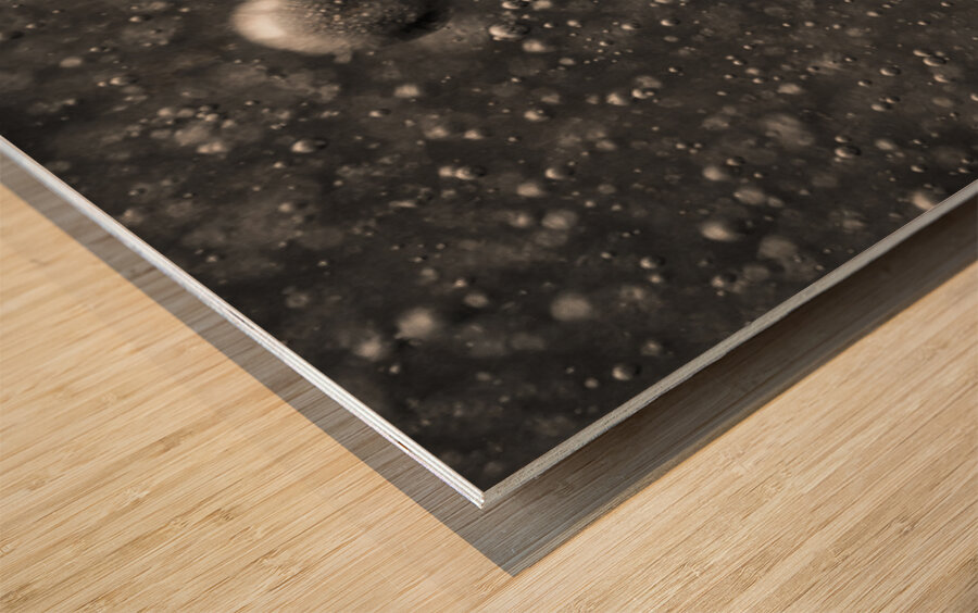 Microcosm Wood print