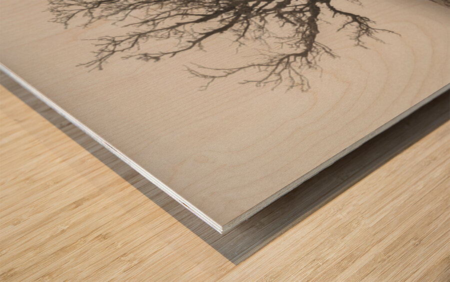 Dartmoor Solitude Wood print