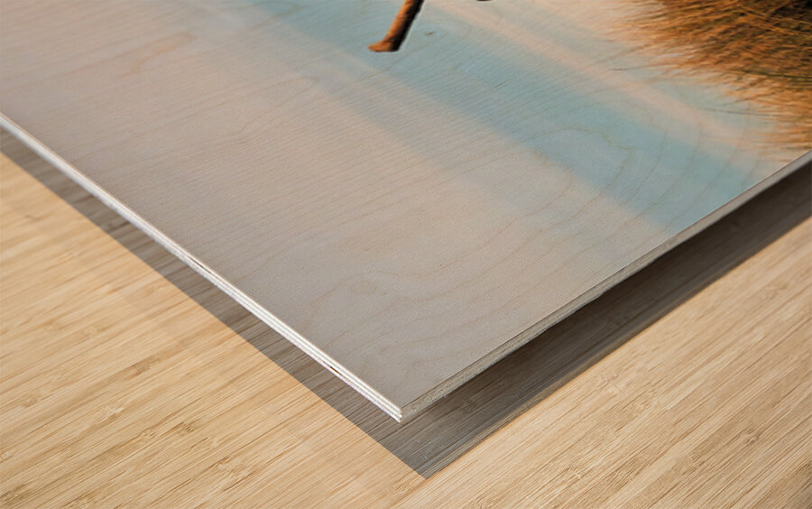 Driftwood Wood print