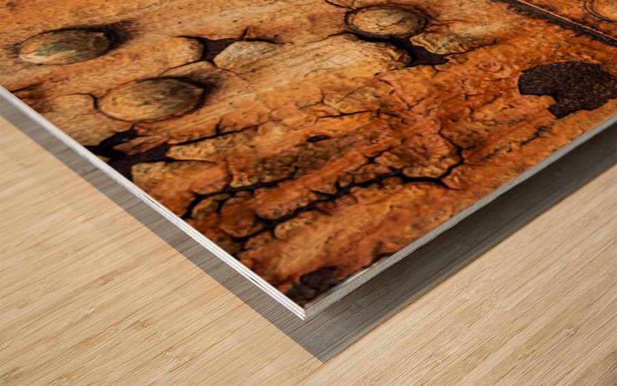 Girder Rivets Wood print