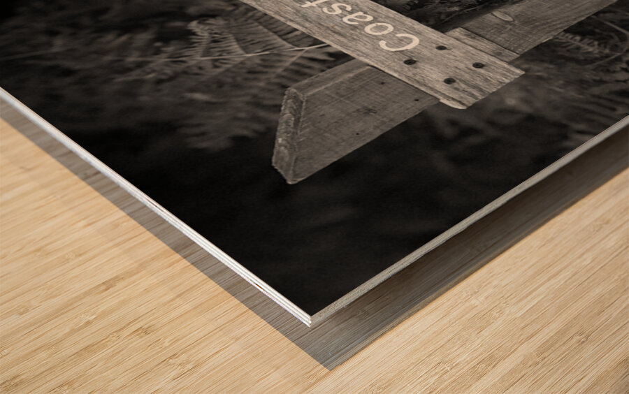 Coast Path Sign Wood print