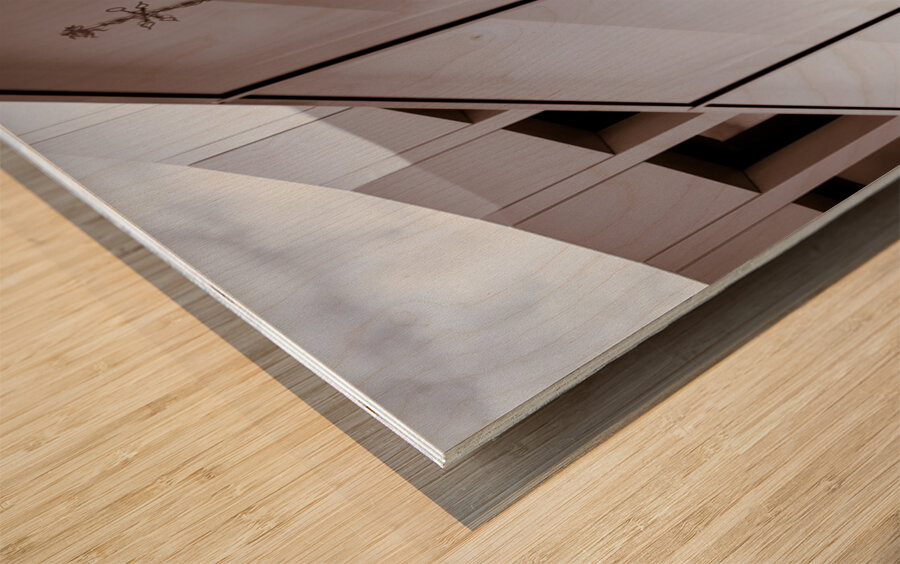 Maastricht Town Hall Reflection Wood print