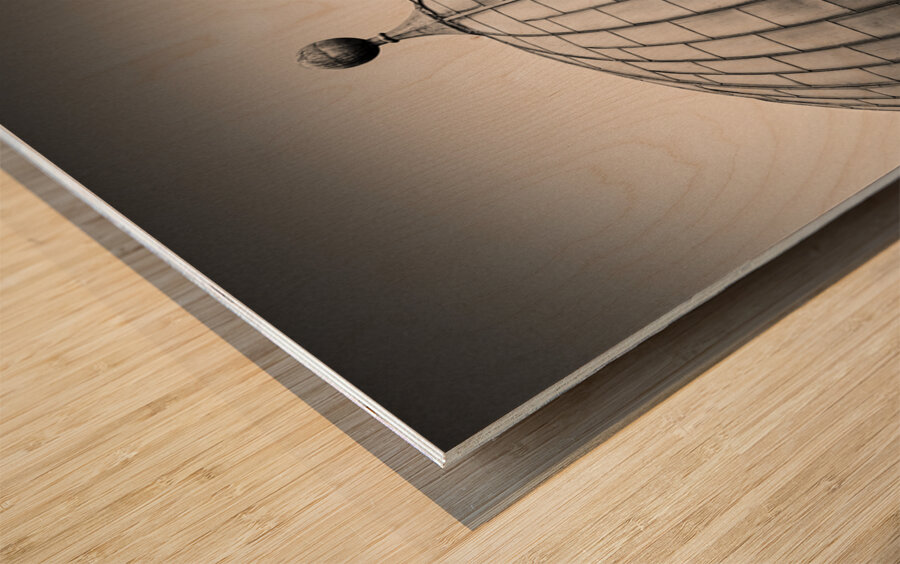 Edinburgh Observatory Dome Wood print