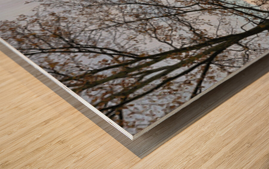 Edinburgh Castle Panorama Wood print