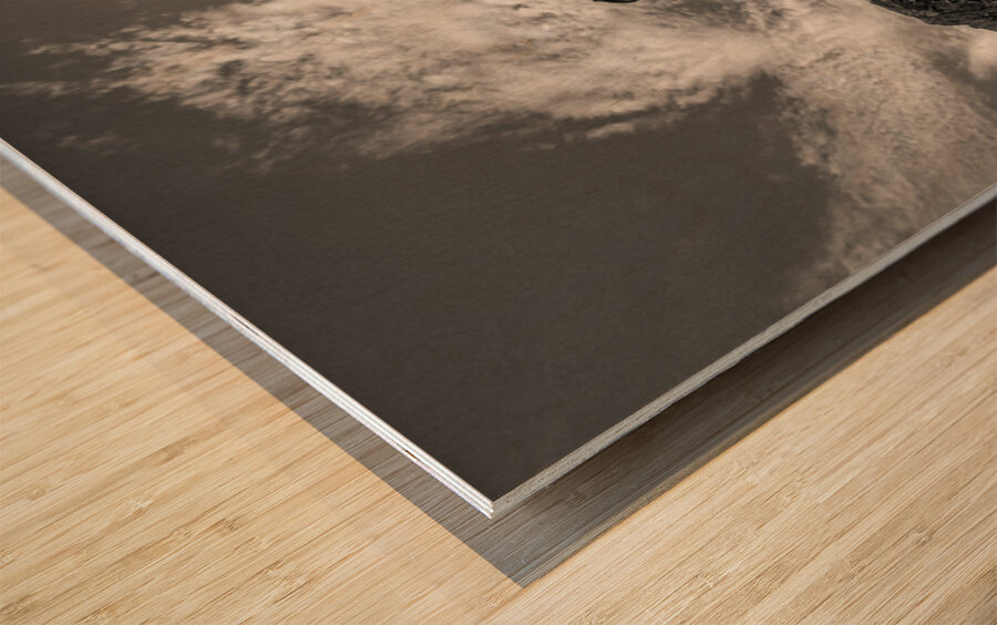 Steps to Scurdie Ness Wood print