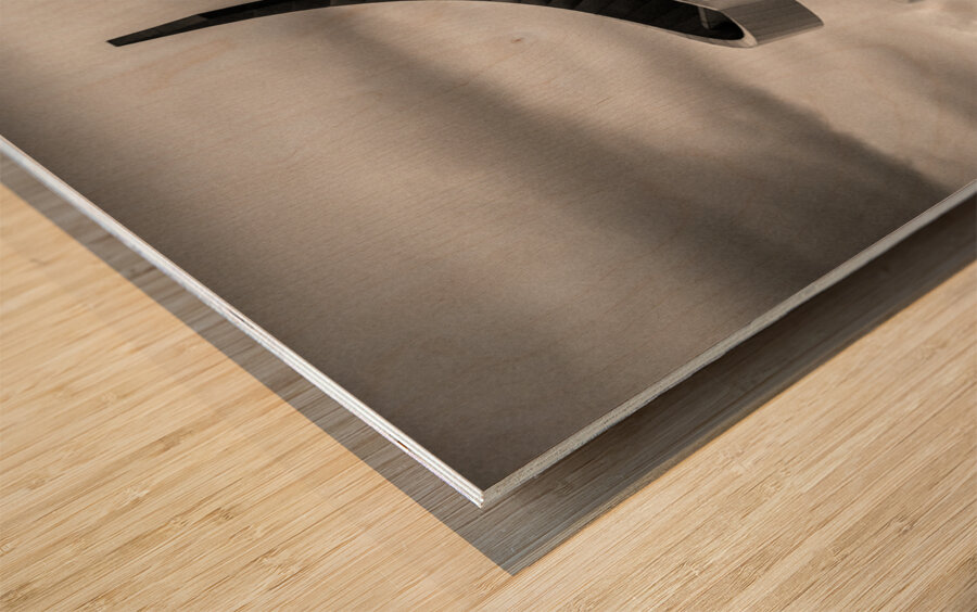 W Edinburgh Wood print