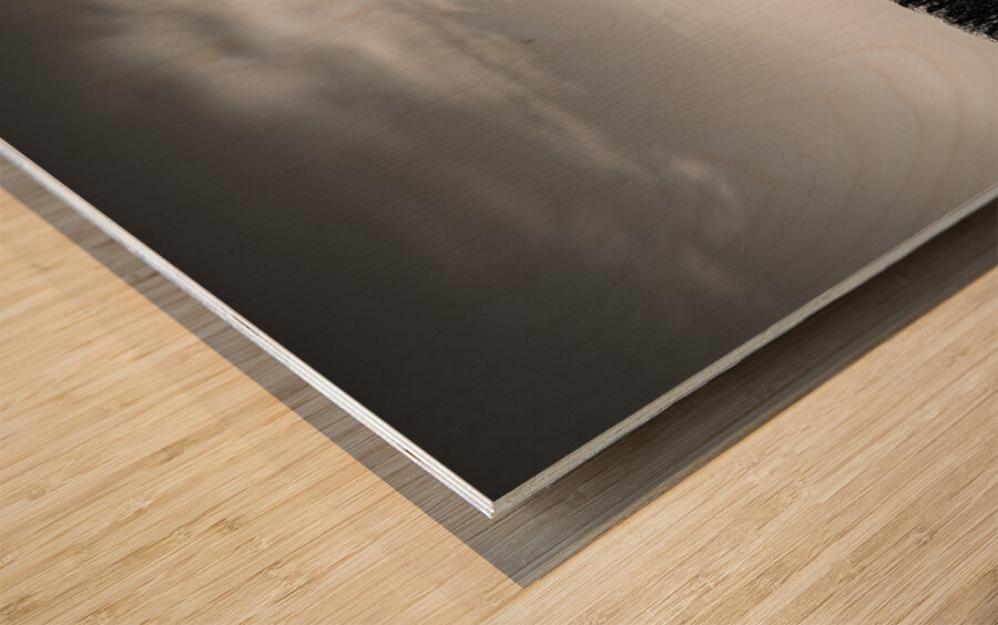 Out to Sea Wood print