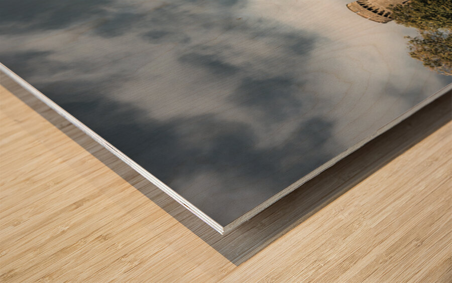 Penrhyn Castle Wood print