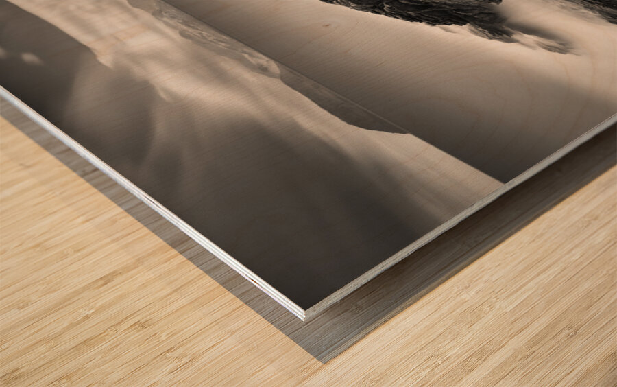 Towards Arran Wood print