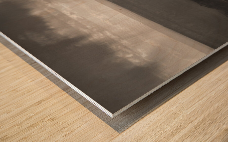 Valley Light Wood print