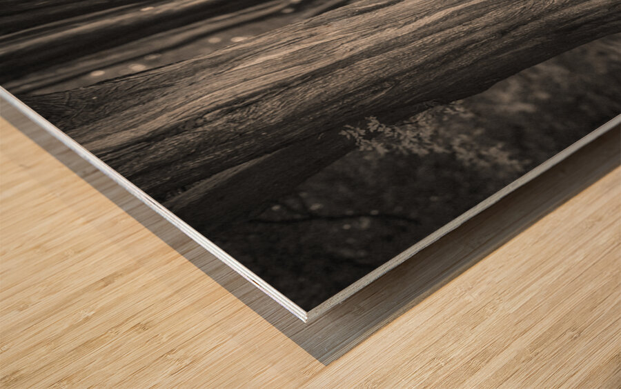 Plas Newydd Trees Wood print