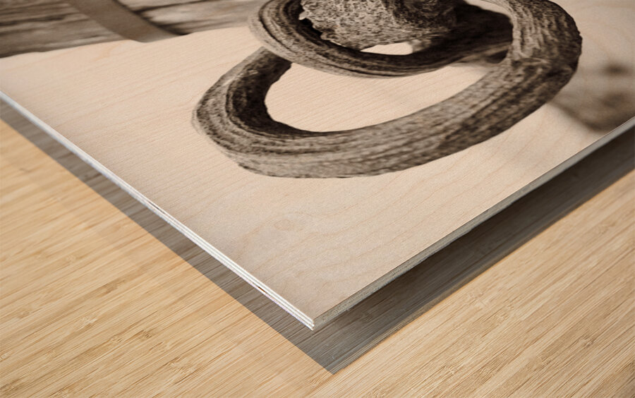 Old Anchor Wood print