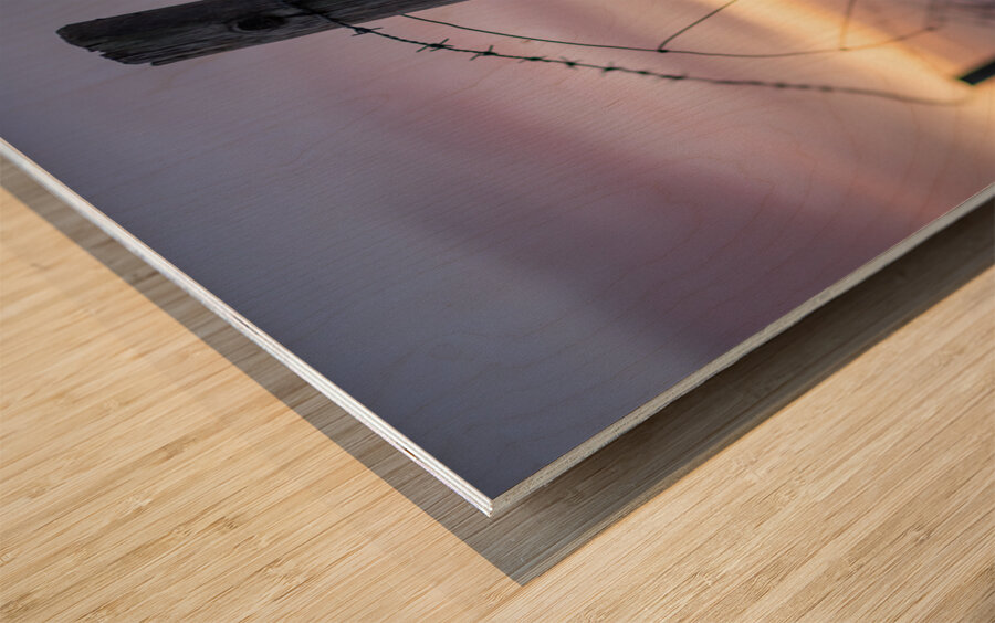 Anglesey Fence at Sunset Wood print