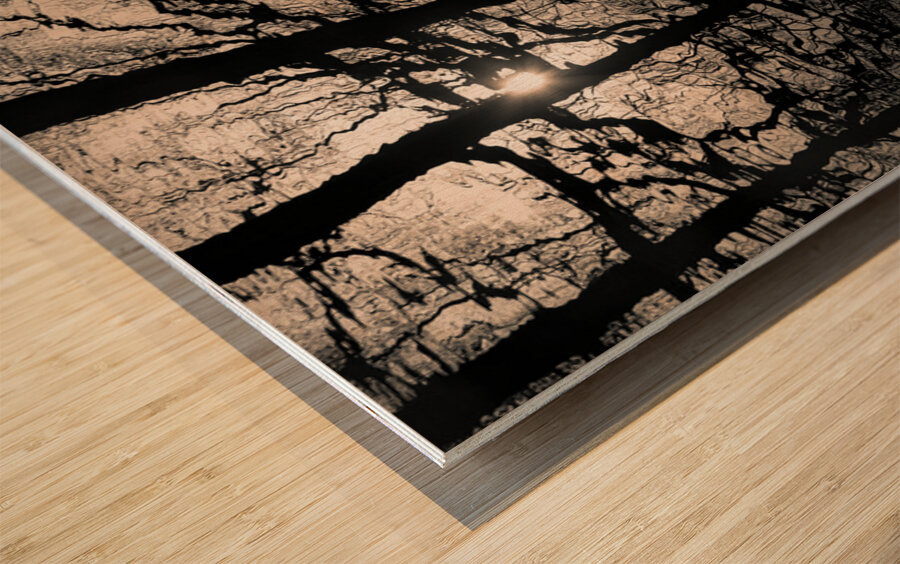 Woodland Waters Wood print