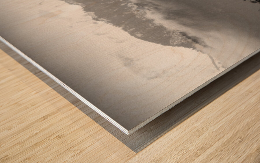 Lake Lucerne Boats Wood print