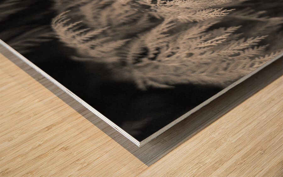 Cypress Leaves Wood print