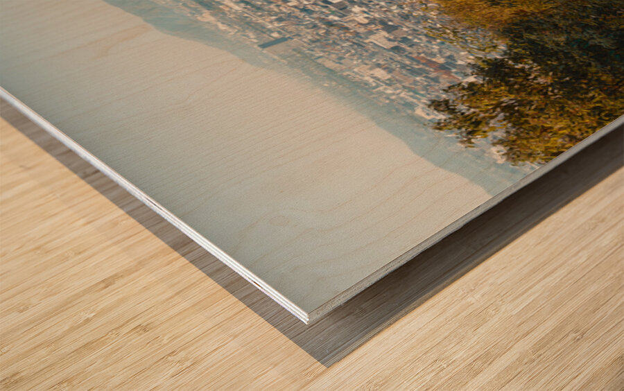 Kyoto from Fushimi Inari Taisha Wood print