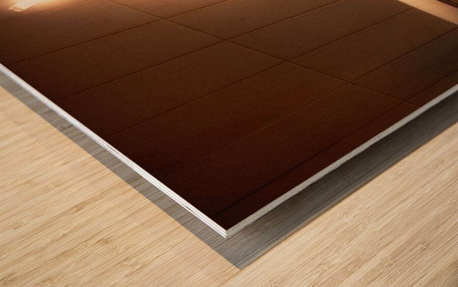 Classic Van in Kyoto Wood print