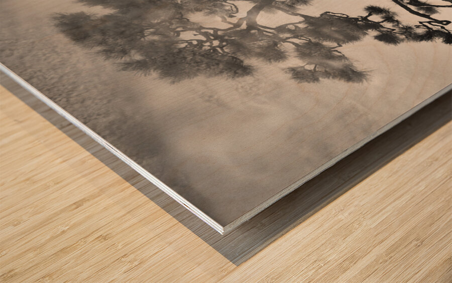 Pine Bonsai Reflection Wood print
