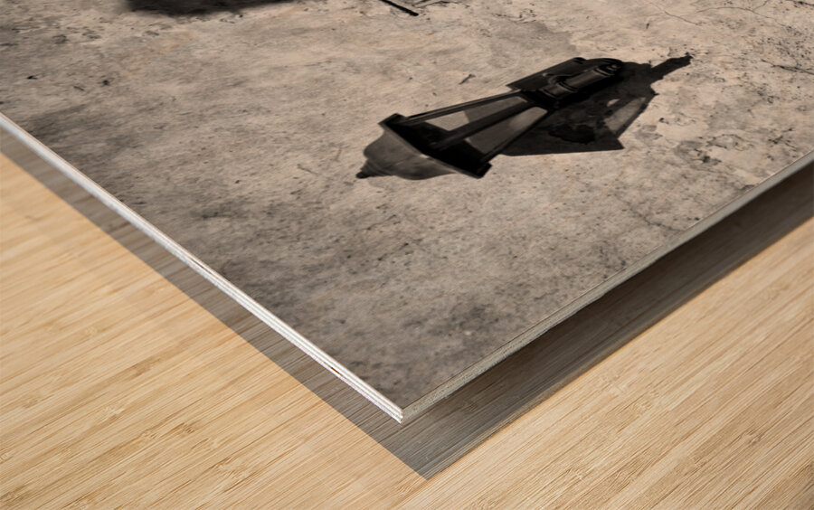 Lamp and Leaf Wood print