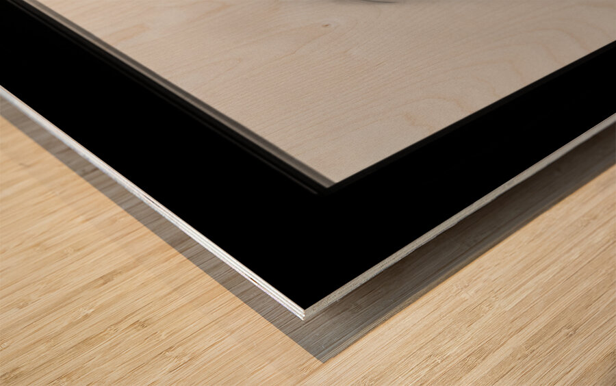 Kyoto House Plant Wood print