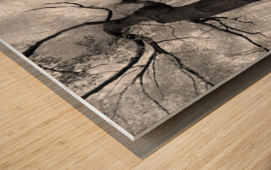 Fractured Rhythm Wood print