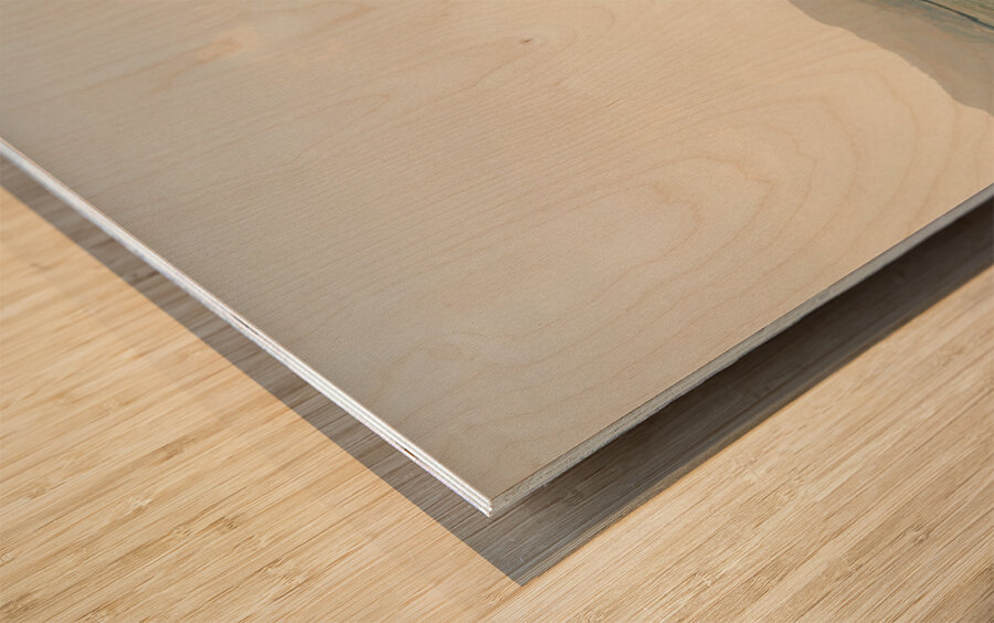 Sacred Gate of Miyajima Wood print