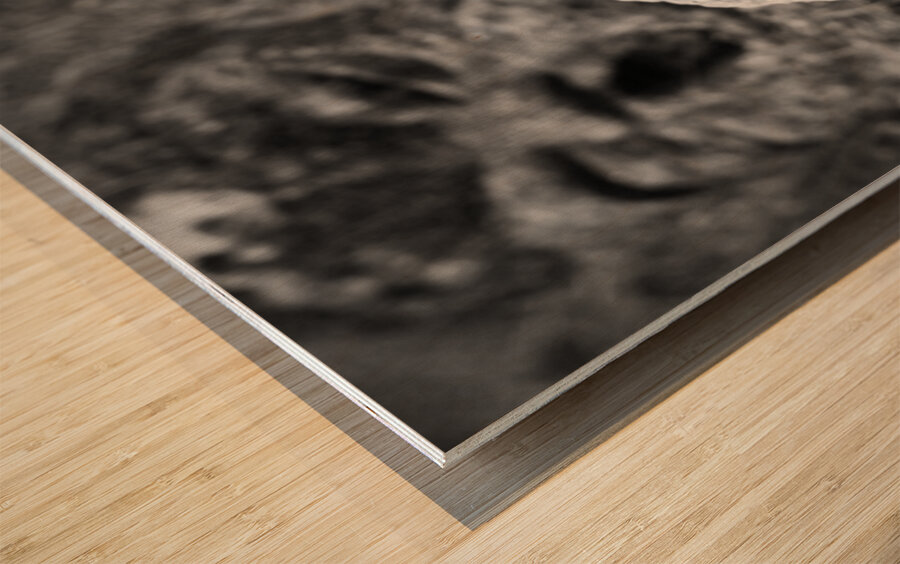 Smiling Rakan Wood print