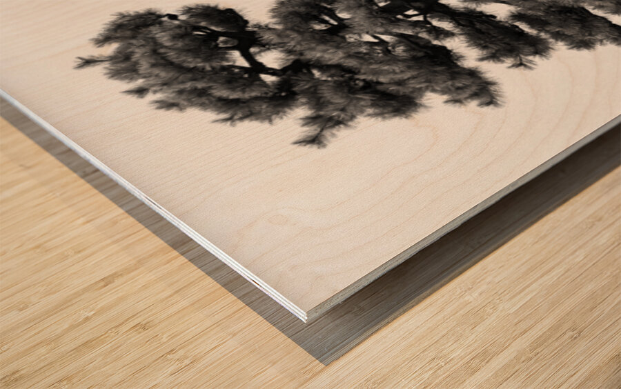 Japanese Black Pine Tree Wood print