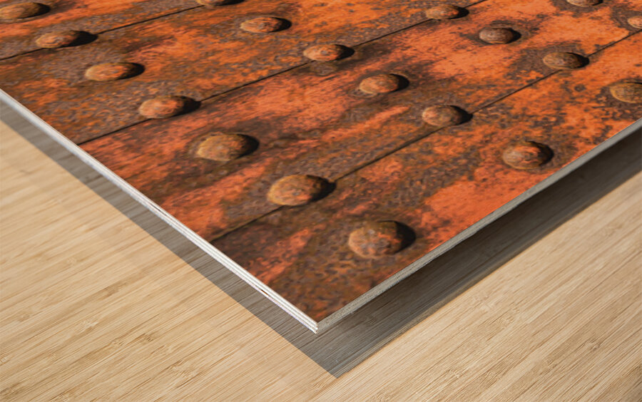 Himeji Castle Door Wood print