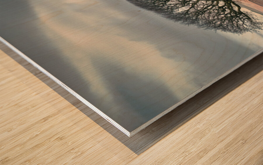 Paps of Jura Wood print