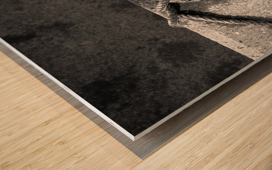 Mooring Ring Wood print