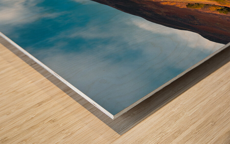 Autumn at Craigower Wood print