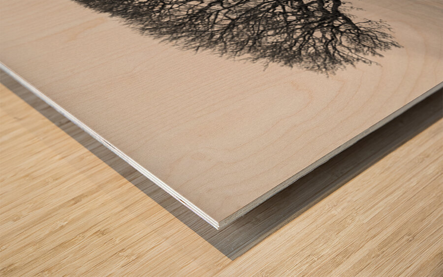 Islay Sentinel Wood print