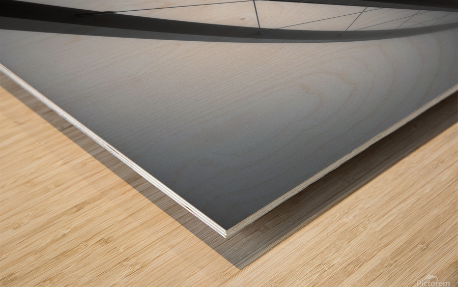 De Hoge Brug Wood print