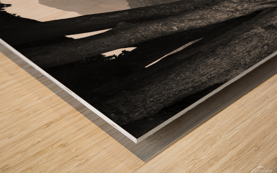  Rivulet to Buttermere Wood print