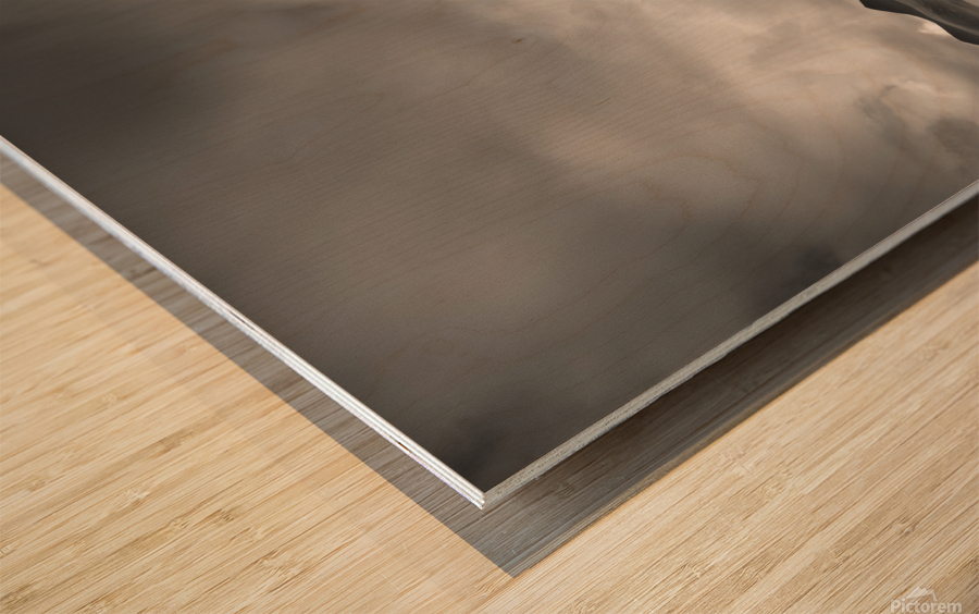 Bothy and Mountains Wood print