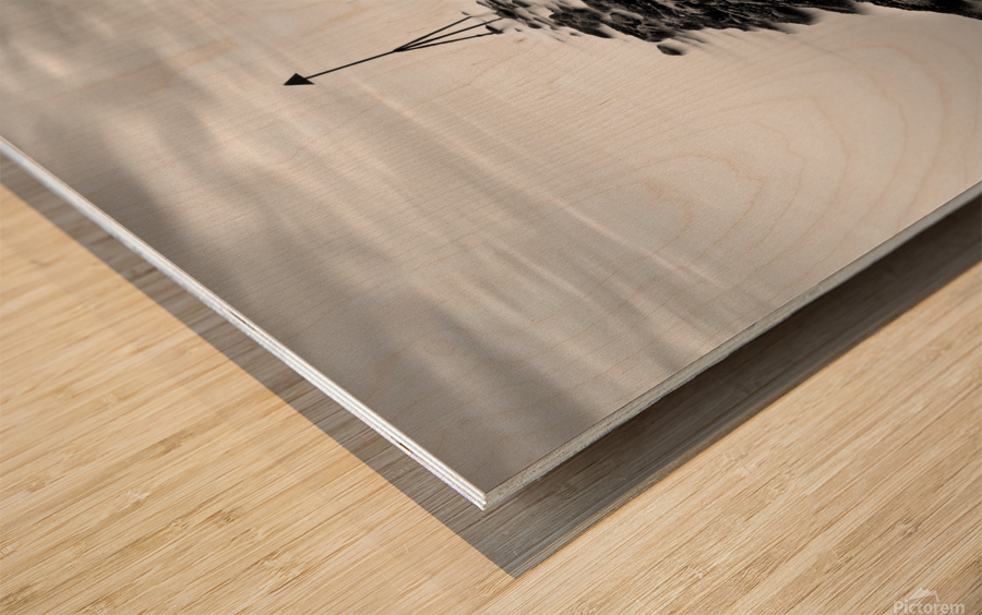 Receding Tide Wood print