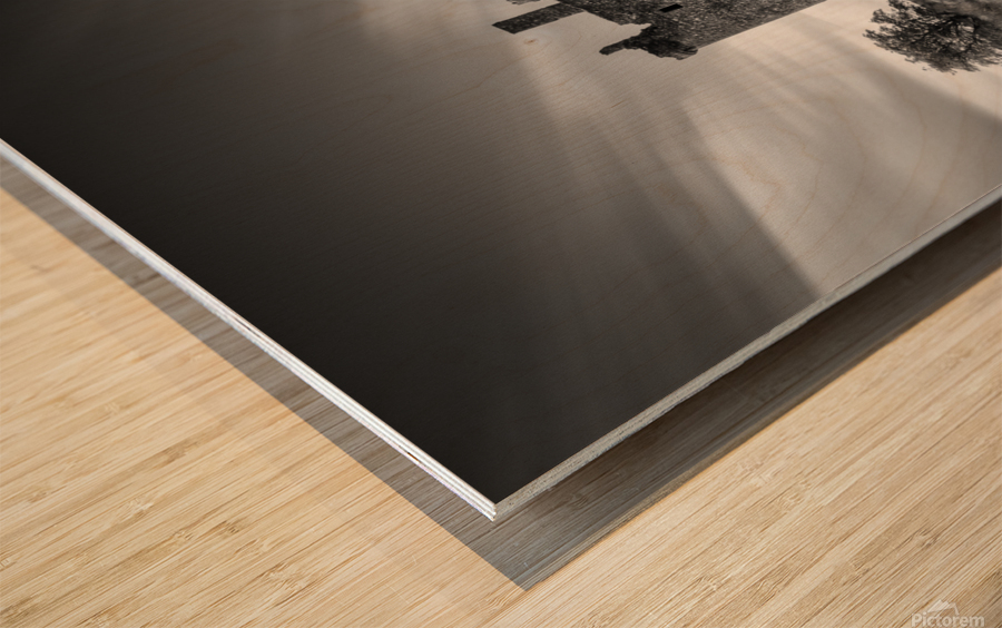 Path to Kilchurn Castle Wood print