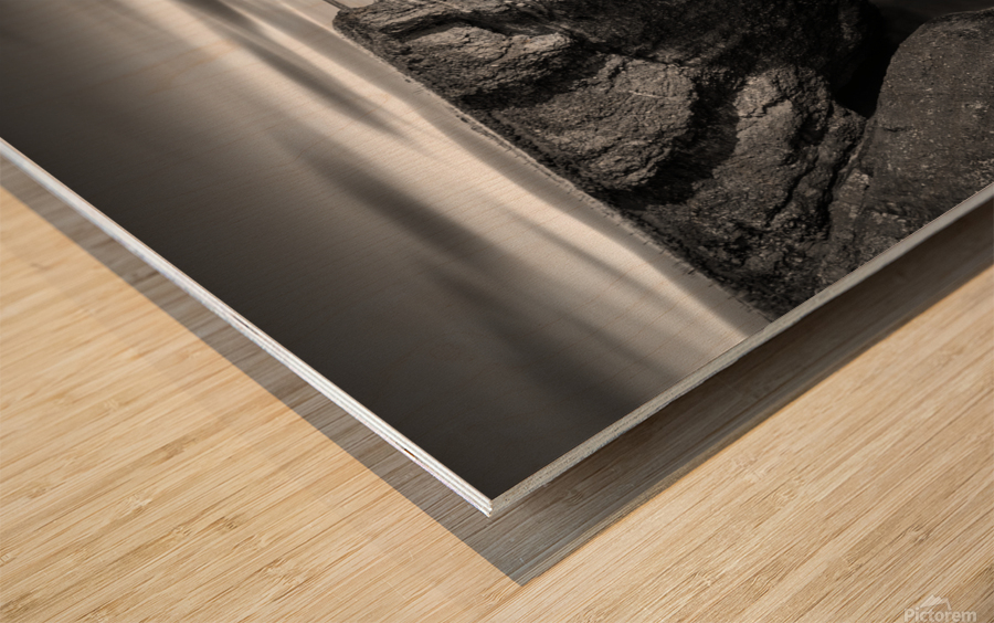 Fowlsheugh Cliffs Wood print