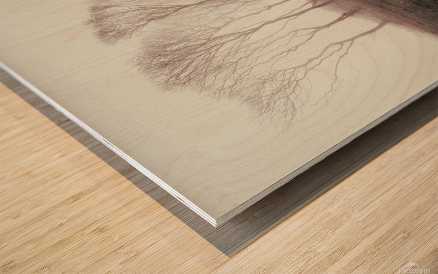 Misty Trees Wood print