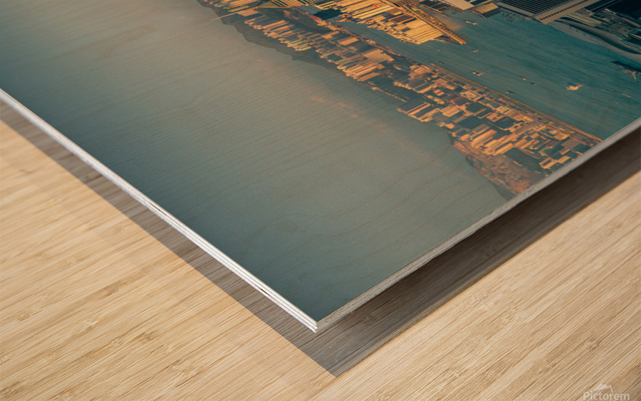 Hong Kong Cityscape Wood print