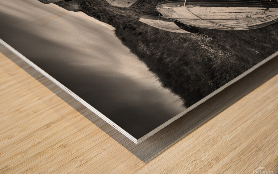 Boddin Point Wood print