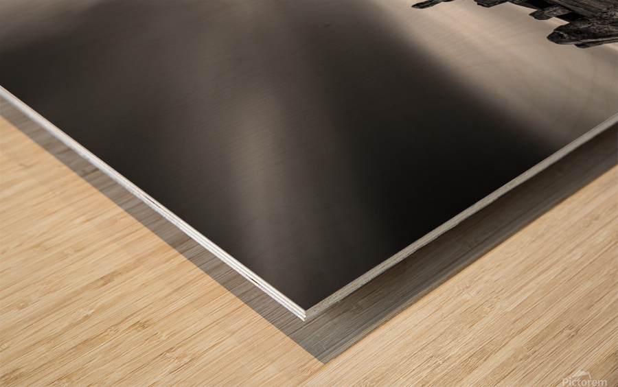 Callanish Stones I Wood print