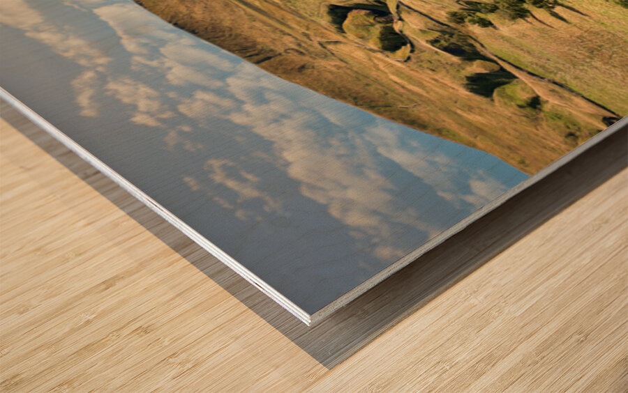 Life in the Yorkshire Dales Wood print