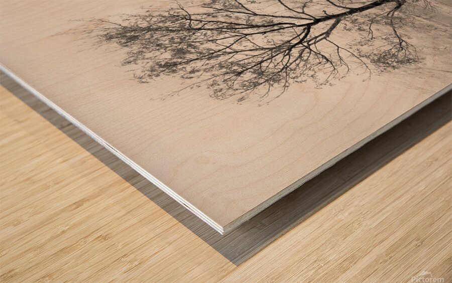 Loch Etive Tree Wood print