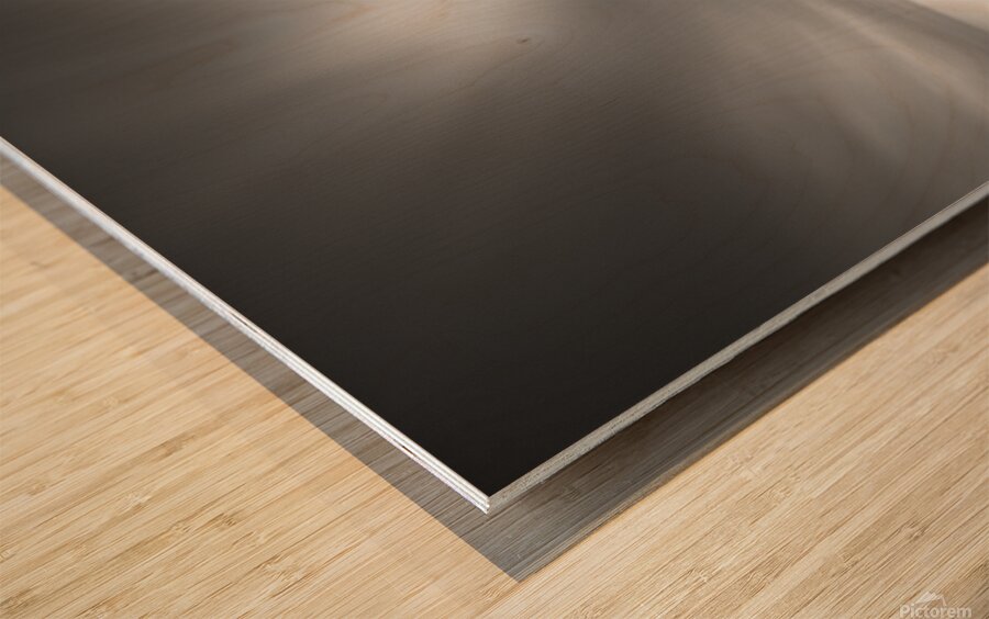 Belhaven Bridge Wood print