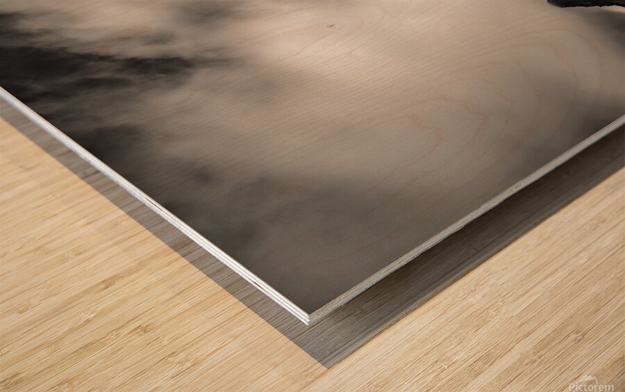 Stac Pollaidh Wood print