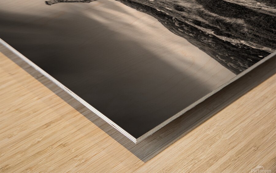 Abandoned Schoolhouse Wood print