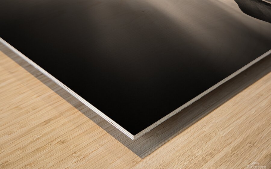 Duke of Portland Boathouse Wood print